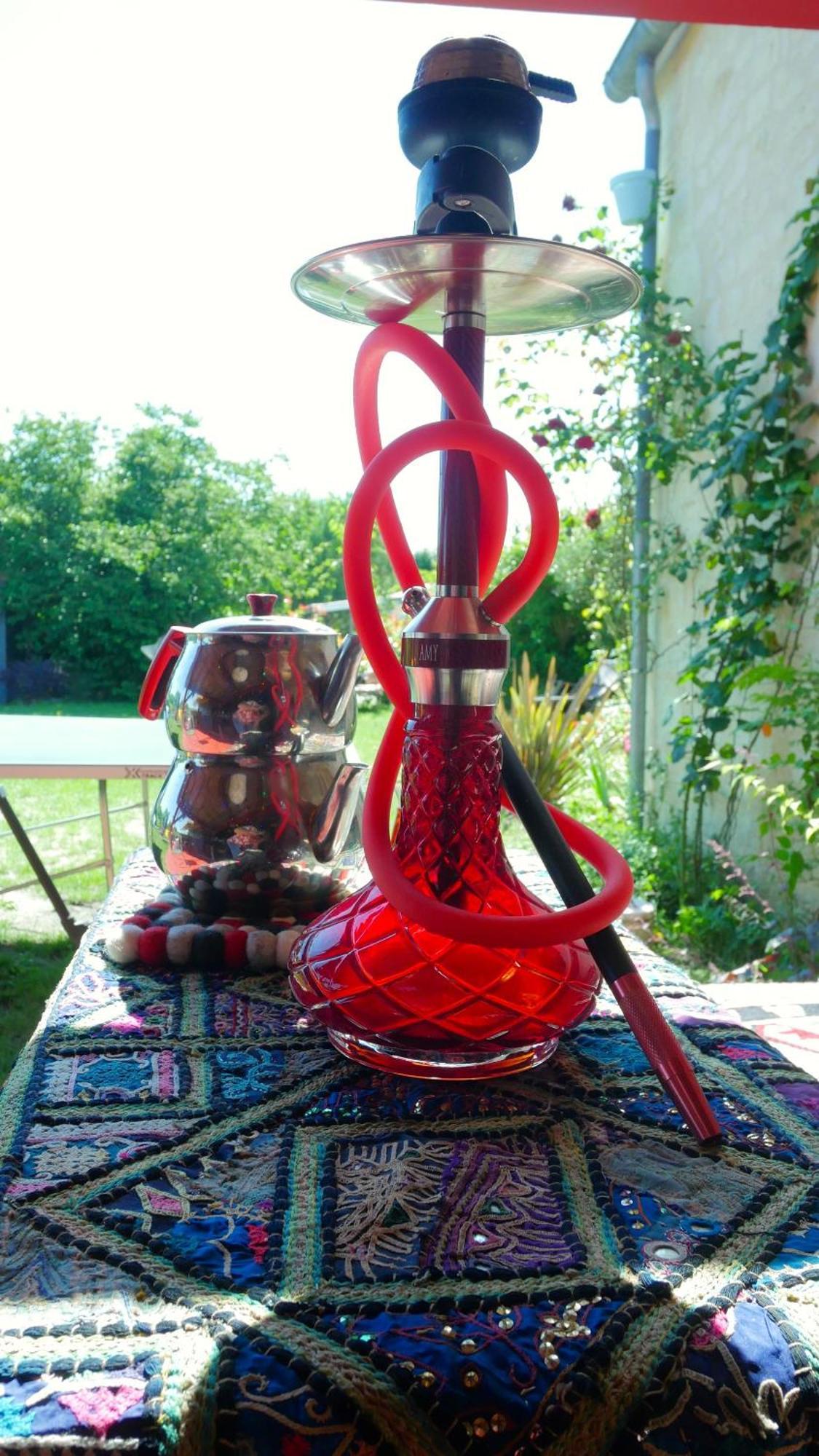 Les Jardins D'Ispahan Prignac-et-Marcamps Bagian luar foto